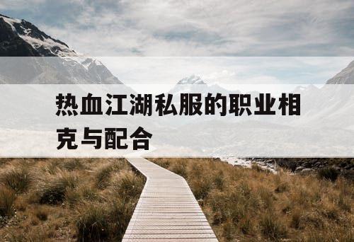 热血江湖私服的职业相克与配合