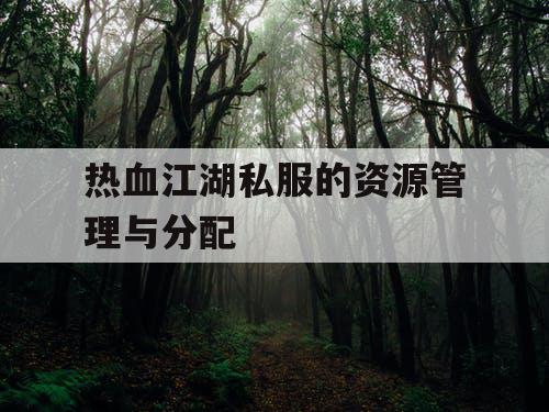 热血江湖私服的资源管理与分配