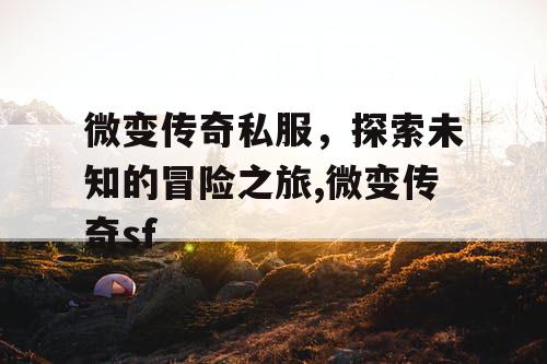 微变传奇私服，探索未知的冒险之旅,微变传奇sf