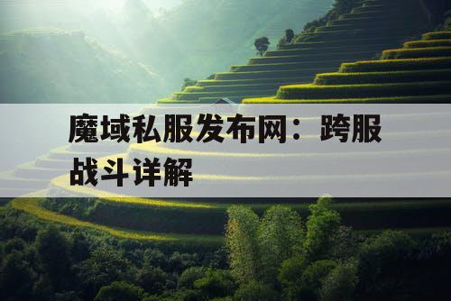 魔域私服发布网：跨服战斗详解