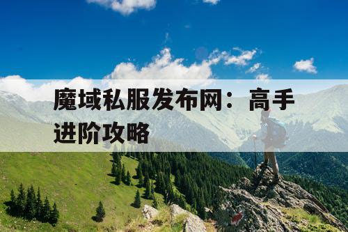 魔域私服发布网：高手进阶攻略