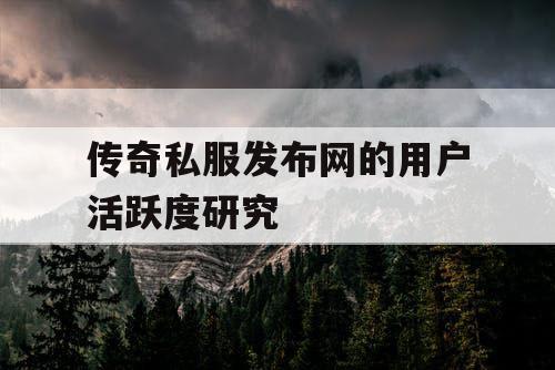 传奇私服发布网的用户活跃度研究