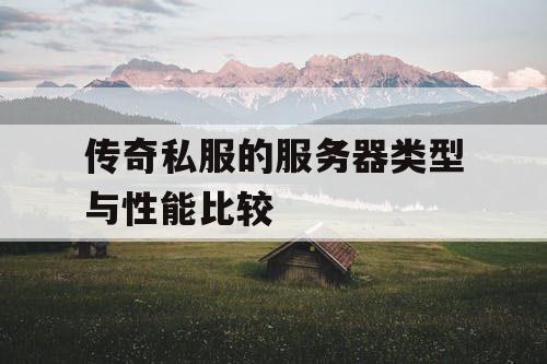 传奇私服的服务器类型与性能比较 传奇私服的服务器类型与性能比较