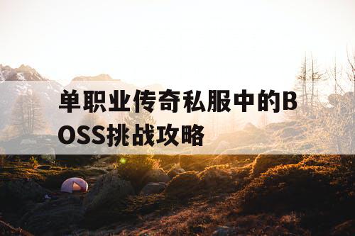 单职业传奇私服中的BOSS挑战攻略