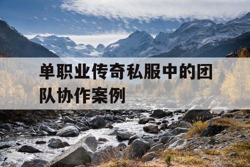 单职业传奇私服中的团队协作案例