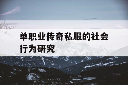 单职业传奇私服的社会行为研究
