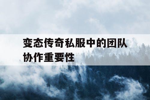 变态传奇私服中的团队协作重要性