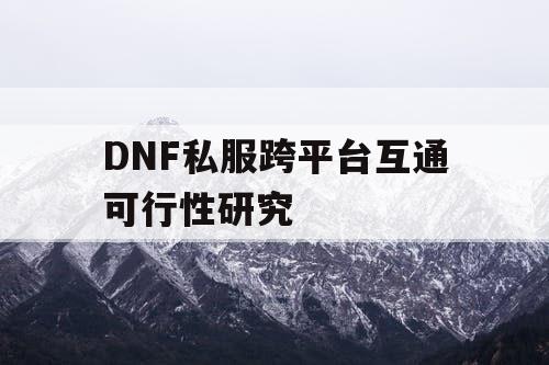 DNF私服跨平台互通可行性研究 DNF私服跨平台互通可行性研究