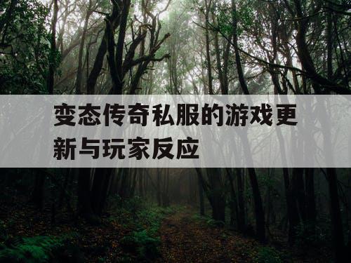 变态传奇私服的游戏更新与玩家反应