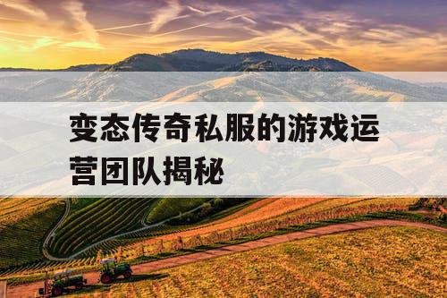 变态传奇私服的游戏运营团队揭秘