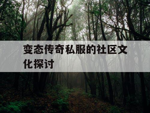 变态传奇私服的社区文化探讨