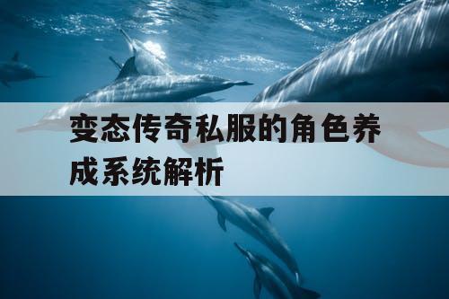 变态传奇私服的角色养成系统解析