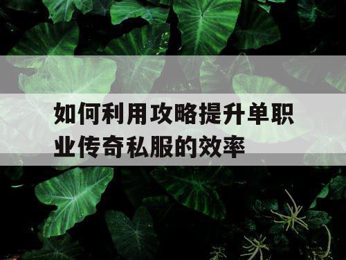 如何利用攻略提升单职业传奇私服的效率