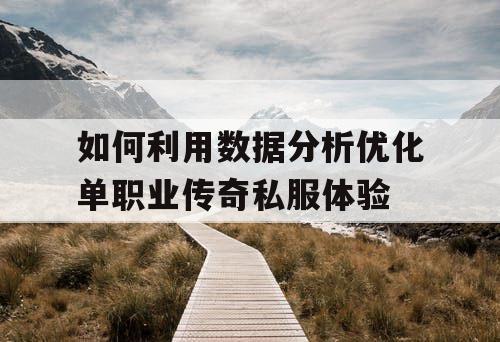 如何利用数据分析优化单职业传奇私服体验
