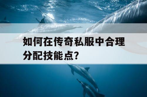 如何在传奇私服中合理分配技能点？
