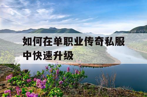 如何在单职业传奇私服中快速升级 如何在单职业传奇私服中快速升级