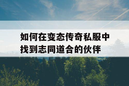 如何在变态传奇私服中找到志同道合的伙伴 如何在变态传奇私服中找到志同道合的伙伴