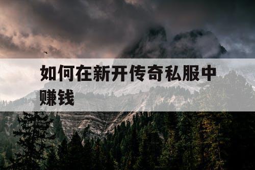 如何在新开传奇私服中赚钱 如何在新开传奇私服中赚钱