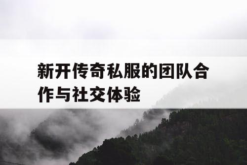 新开传奇私服的团队合作与社交体验