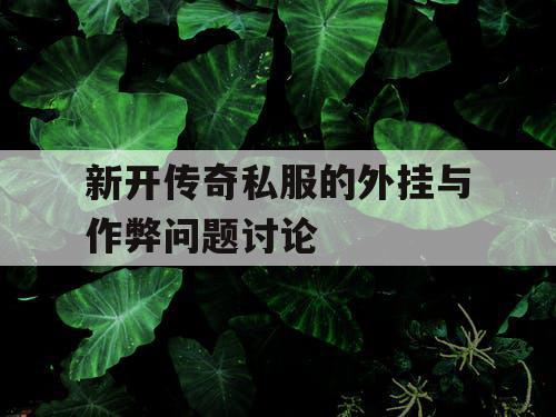 新开传奇私服的外挂与作弊问题讨论 新开传奇私服的外挂与作弊问题讨论