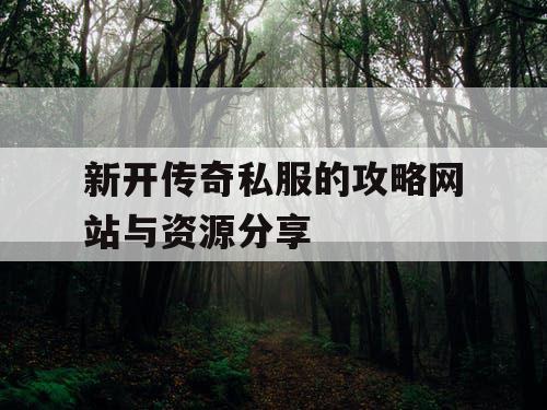 新开传奇私服的攻略网站与资源分享