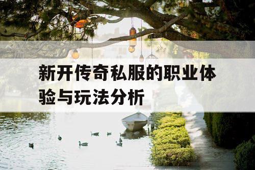 新开传奇私服的职业体验与玩法分析