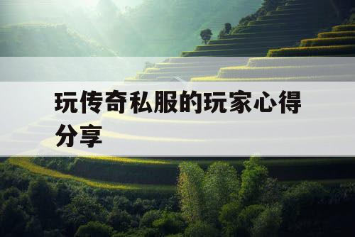 玩传奇私服的玩家心得分享