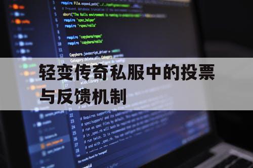 轻变传奇私服中的投票与反馈机制