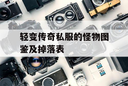 轻变传奇私服的怪物图鉴及掉落表 轻变传奇私服的怪物图鉴及掉落表