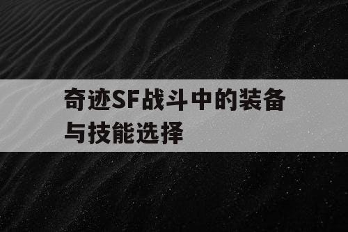 奇迹SF战斗中的装备与技能选择