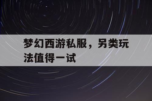 梦幻西游私服，另类玩法值得一试