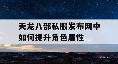 天龙八部私服发布网中如何提升角色属性