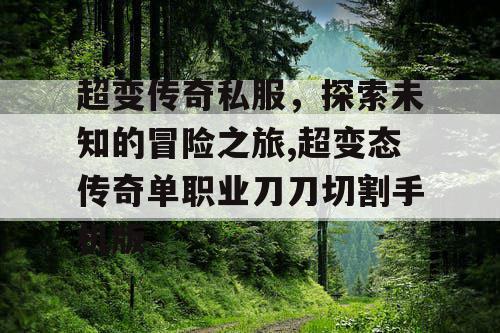超变传奇私服，探索未知的冒险之旅,超变态传奇单职业刀刀切割手机版