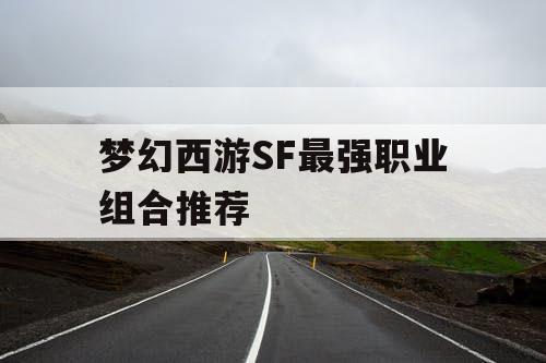 梦幻西游SF最强职业组合推荐