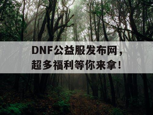 DNF公益服发布网，超多福利等你来拿！