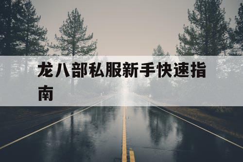 龙八部私服新手快速指南