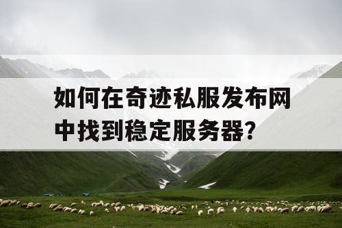如何在奇迹私服发布网中找到稳定服务器？
