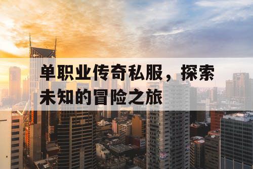 单职业传奇私服，探索未知的冒险之旅