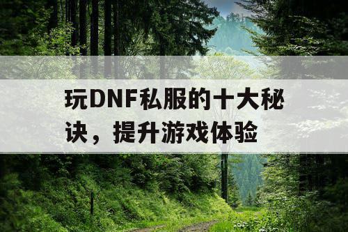 玩DNF私服的十大秘诀，提升游戏体验