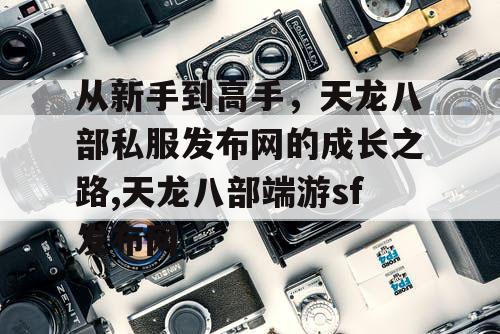 从新手到高手，天龙八部私服发布网的成长之路,天龙八部端游sf发布网