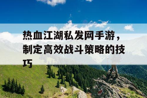 热血江湖私发网手游，制定高效战斗策略的技巧