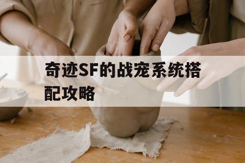 奇迹SF的战宠系统搭配攻略