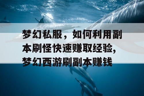梦幻私服，如何利用副本刷怪快速赚取经验,梦幻西游刷副本赚钱