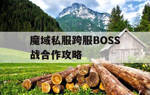 魔域私服跨服BOSS战合作攻略