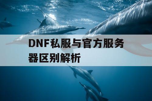 DNF私服与官方服务器区别解析