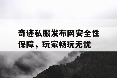 奇迹私服发布网安全性保障，玩家畅玩无忧