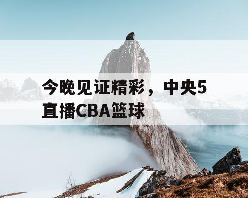 今晚见证精彩,中央5直播CBA篮球 今晚见证精彩,中央5直播CBA篮球