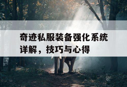 奇迹私服装备强化系统详解，技巧与心得
