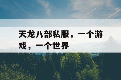 天龙八部私服，一个游戏，一个世界