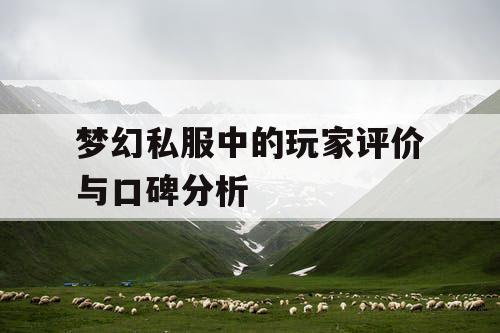 梦幻私服中的玩家评价与口碑分析